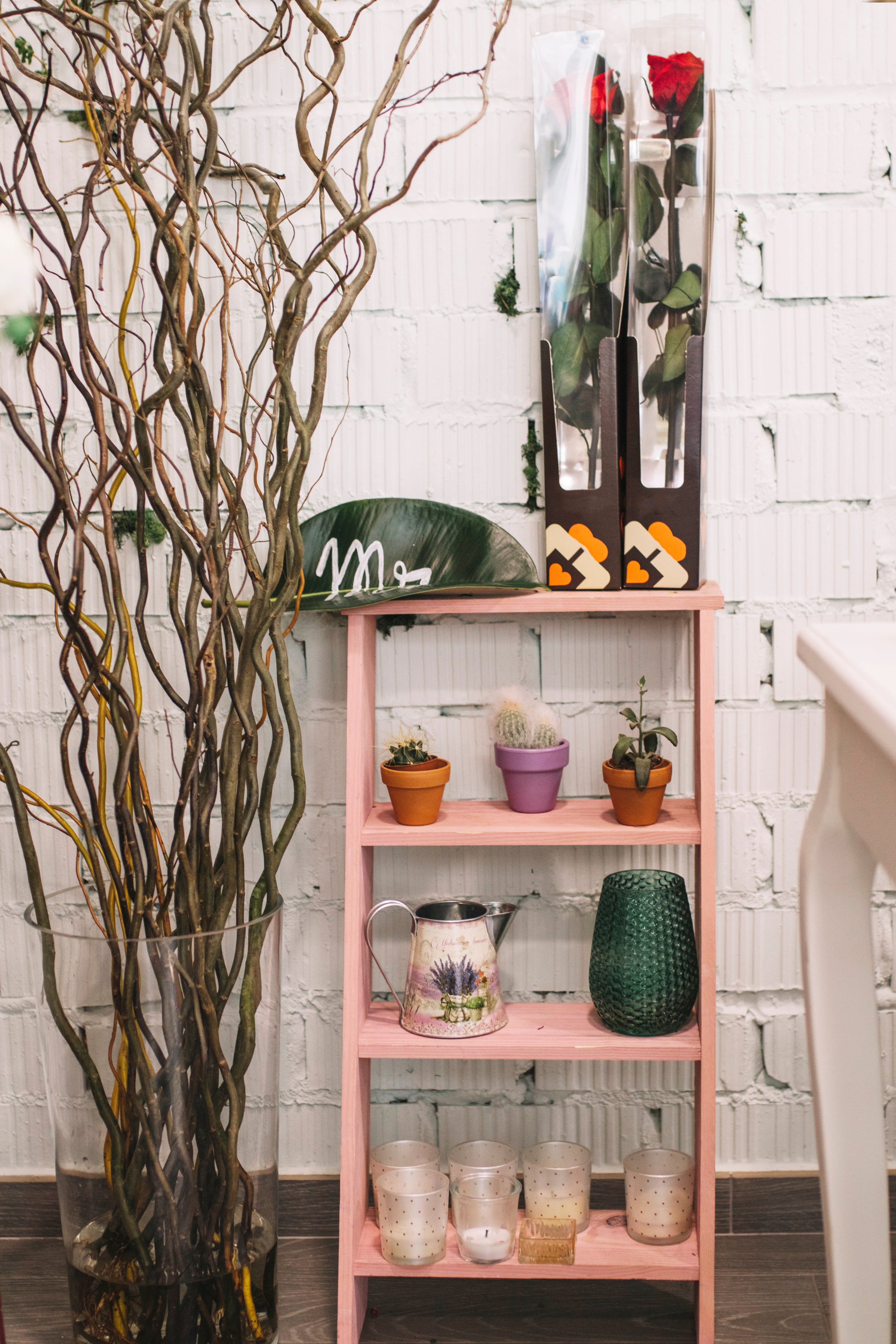 Hogar y Decoración