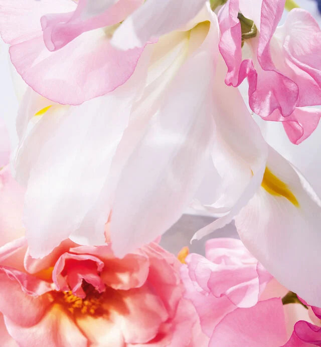 🌸 Miss Dior Eau de Parfum – Amor propio en forma de fragancia